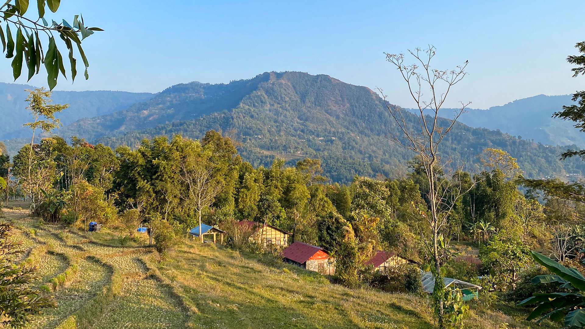 lorem ipsum dolor sit